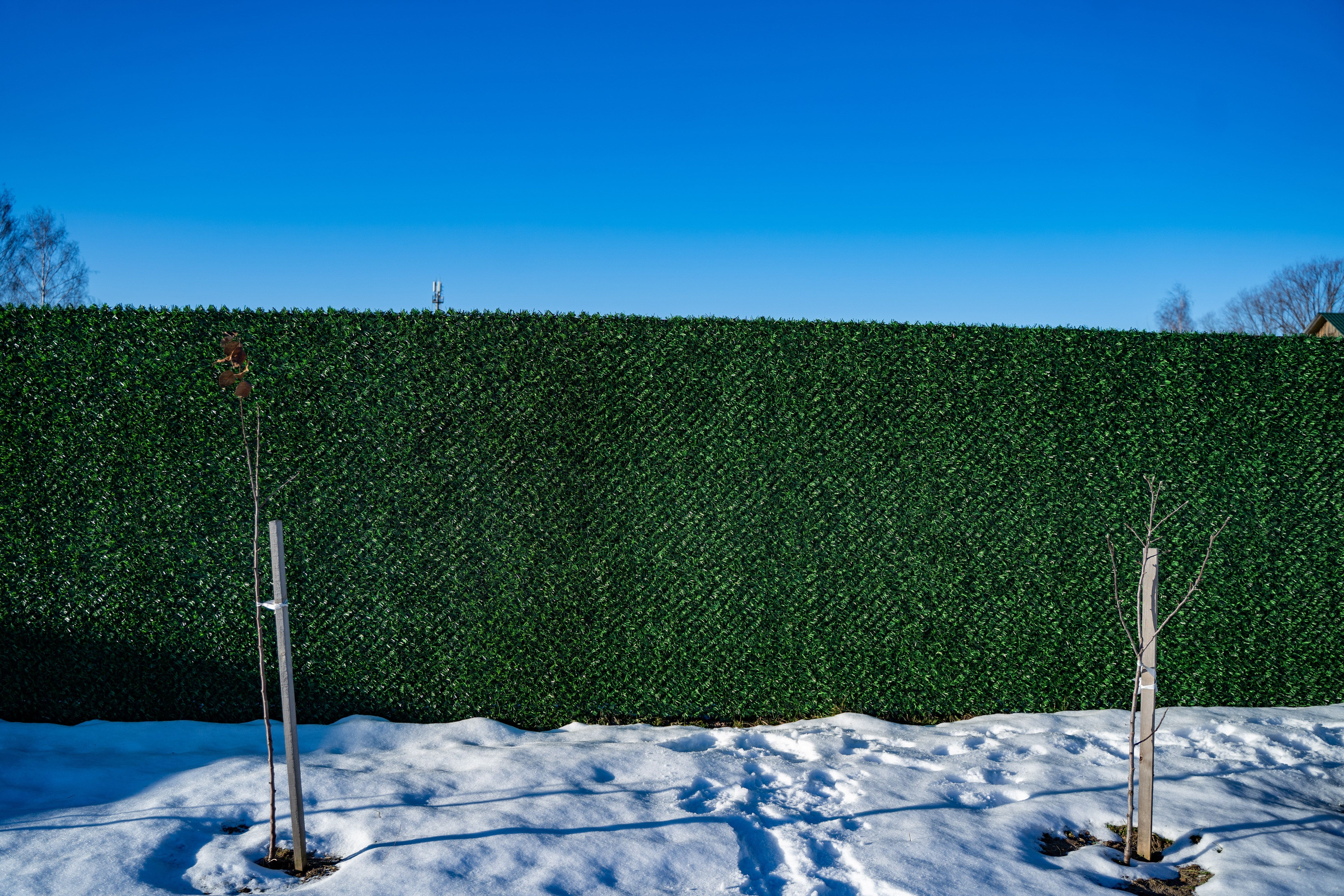 Вечнозеленый забор Grass Fence рулон 2м фото 8 в Шымкенте
