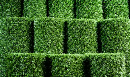 Нужен бесплатный расчет забора Grass Fence из искусственной травы в Шымкенте?
